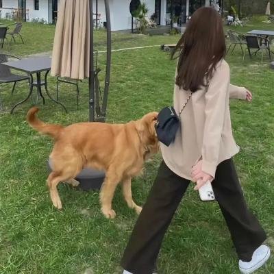 永远强壮
